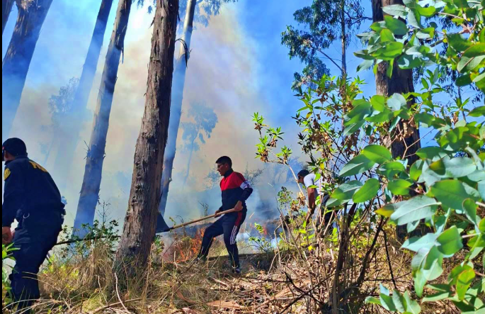 COYLLURQUI: POLICÍA Y AUTORIDADES LUCHAN CONTRA INCENDIO FORESTAL QUE AMENAZA ZONAS NATURALES Y CULTIVOS